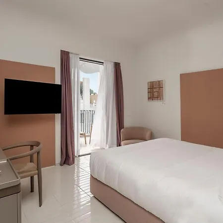 Hotel Certosa
